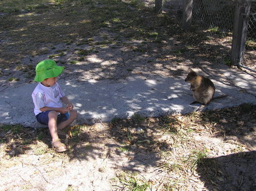 William and the Quokka